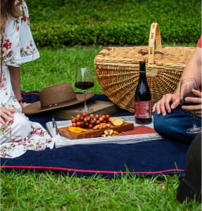 Wine Picnics